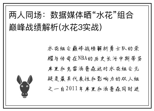 两人同场：数据媒体晒“水花”组合巅峰战绩解析(水花3实战)
