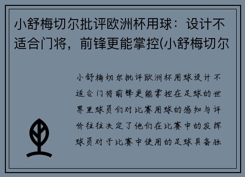 小舒梅切尔批评欧洲杯用球：设计不适合门将，前锋更能掌控(小舒梅切尔英冠进球)